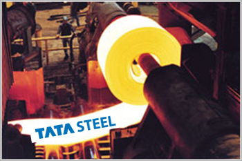 Electrobel Steels Lenders Shortlist 2投标人，包括塔塔钢