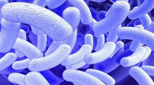 开发可生物降解电路以在体内传递药物