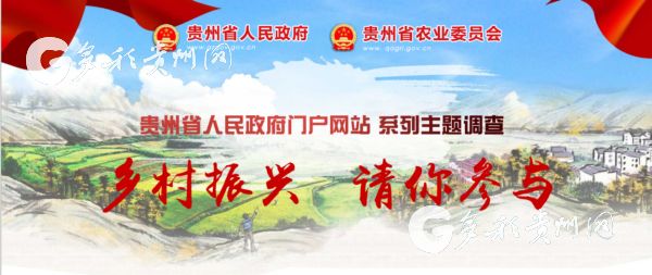 贵州开展乡村振兴主题调查 喊你来参与