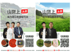 今日头条 “山货上头条” 公益项目助力“黔货出山”