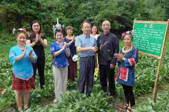 镇远："苗缘"苗药基地+生态养生观光助农增收