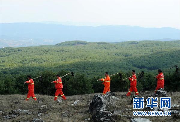 （图文互动）（1）贵州沙子坡林场：三代护林员守护一片“林海”