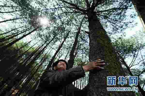 （图文互动）（5）贵州沙子坡林场：三代护林员守护一片“林海”