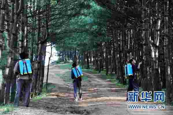 （图文互动）（2）贵州沙子坡林场：三代护林员守护一片“林海”
