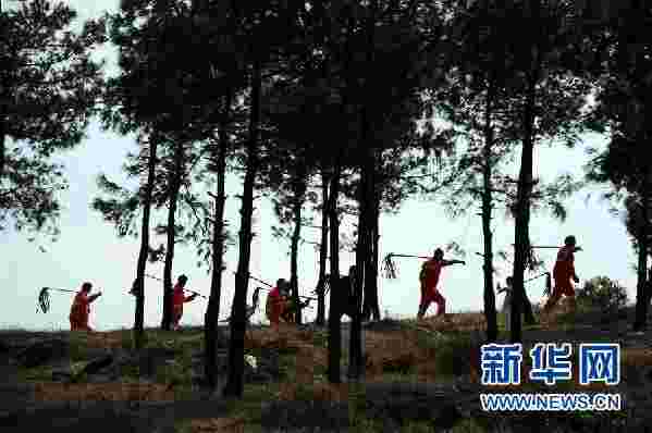 （图文互动）（6）贵州沙子坡林场：三代护林员守护一片“林海”