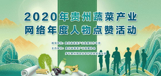 2020年贵州蔬菜产业网络年度人物点赞活动正式开启