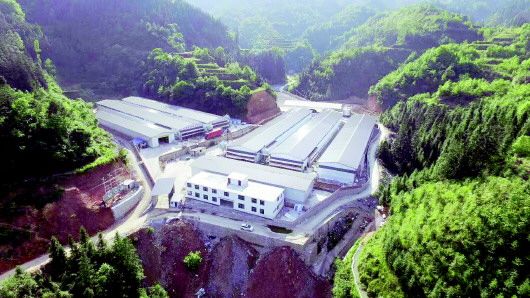 贵州:“保险+期货”双重保障助农增收
