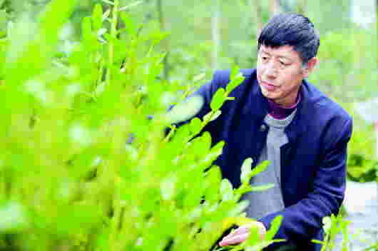 贵州省力促健康医药和中药材产业深度融合