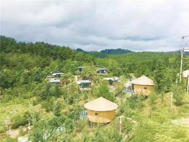20家单位拟成为贵州省第三批森林康养试点基地