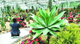 遵义农博园进入试营业阶段 数千品种植物惊艳亮相