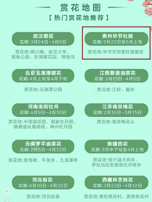 全国十大热门赏花地出炉 贵州百里杜鹃榜上有名