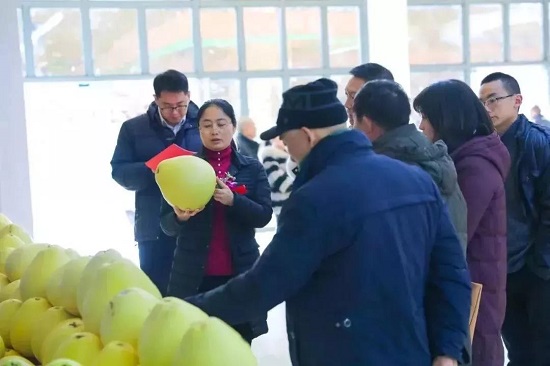 多彩贵州农博城全球招商发布会在湄潭启动