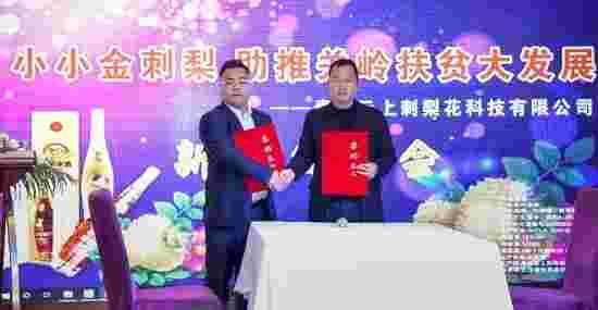 关岭:力争把金刺梨做成精品 带动更多群众脱贫致富
