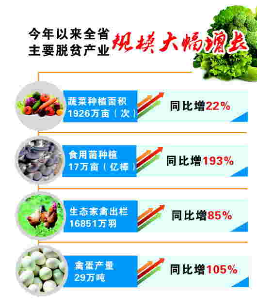 贵州:产业扶贫带动143万贫困人口增收