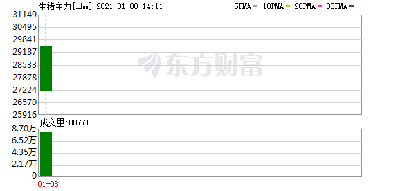 廿年磨一剑 生猪期货今日在大商所挂牌上市