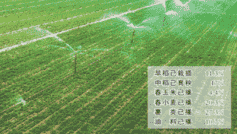 全国已播农作物一点五亿亩