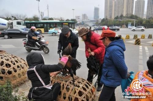 资料图：街头摊贩。任东 摄