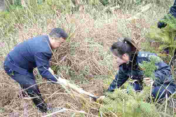 贵州黔东经济开发区税务局开展春季义务植树活动