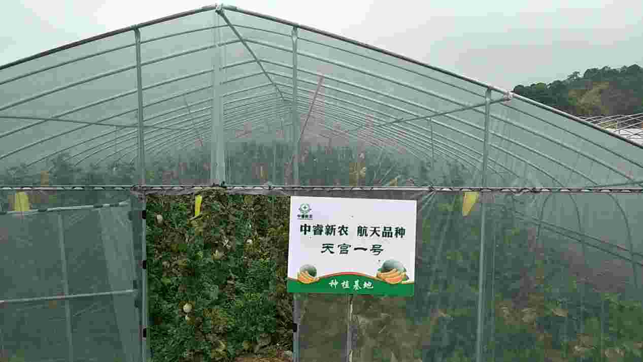 中睿新农大数据引流 打造新农业绿色经济