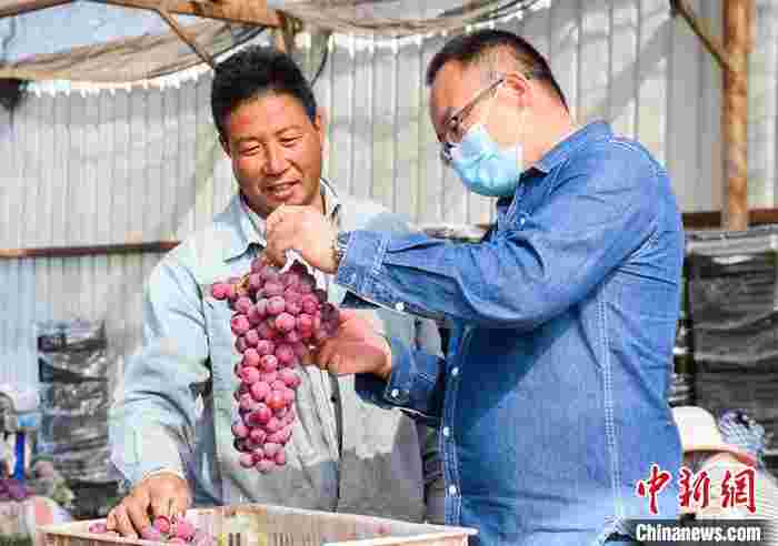 援疆助农义卖 新疆兵团50余吨农产品远销湖南