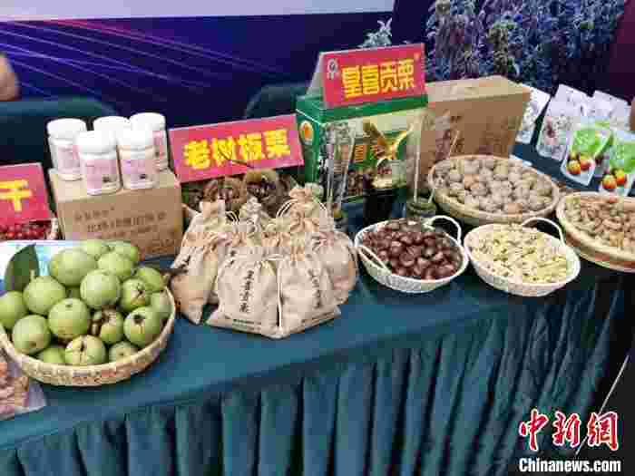 板栗“滞销”怎么办?2020中国国际板栗大会来“支招”