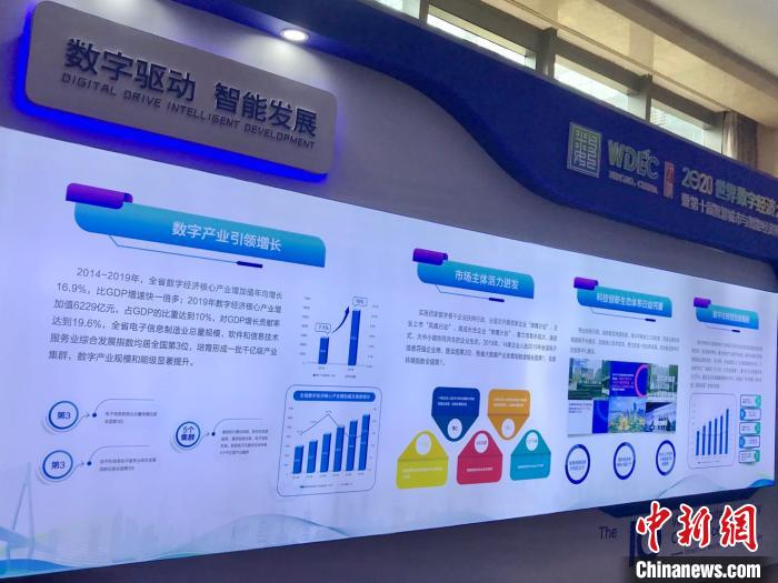 院士把脉“宁波制造”提质之路:优化产业链促新动能