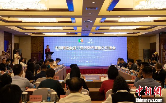 宁夏举行中阿博览会暨宁夏优势产业推介对接会