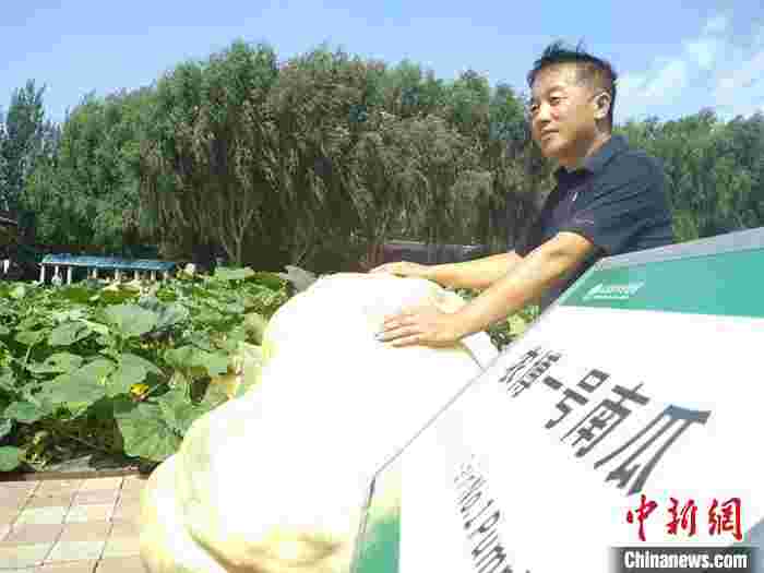 自带“网红”光环 千斤巨型南瓜亮相长春农博园