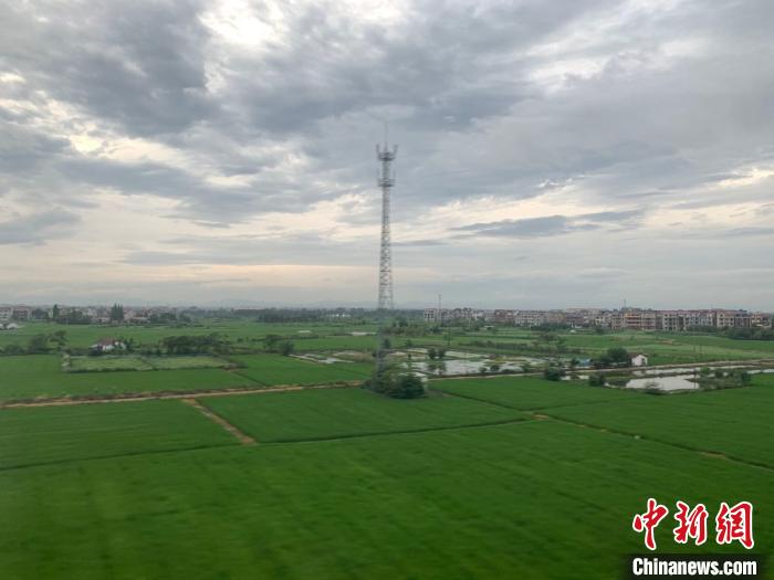 浙江国土空间生态修复:近三年新增耕地8.55万亩