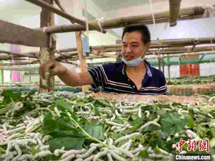 贵州毕节:产业“黑”转“绿” 走“破茧化蝶”绿色崛起之路