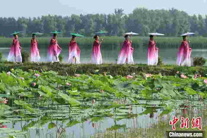 第七届沈阳法库荷花节：荷花映辽河 佳人画中游