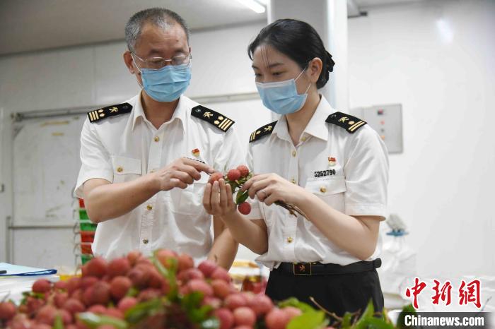 800公斤的广州增城荔枝首次走进东盟市场