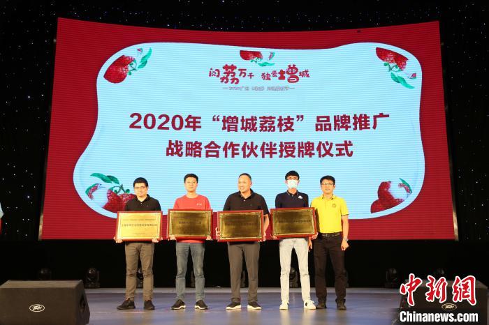 广州增城荔枝大丰收 成富民兴村利器