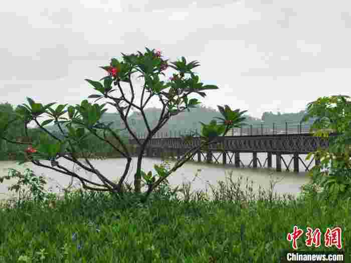 广东省海洋生产总值率先突破2万亿