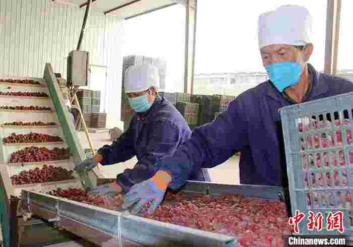 浙江湖州助力新疆兵团农副产品销售巩固脱贫攻坚（图）