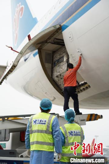 航空货站周转效率提升200% 广州海关出招保畅通
