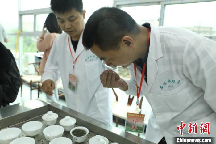 首个“国际茶日” 福建发布首届茶叶气候品质认证