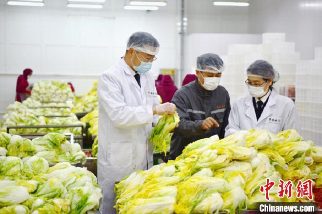 烟台泡菜9年后重入韩国市场