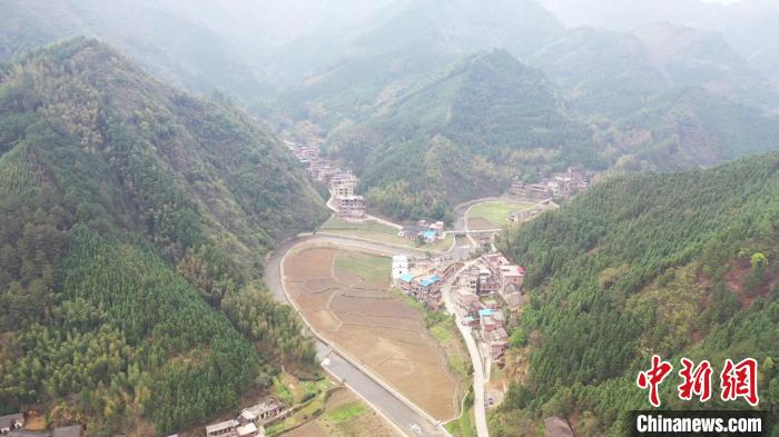 农村野菜今成“摇钱树” 湖南新田瑶山瞄准野菜种植
