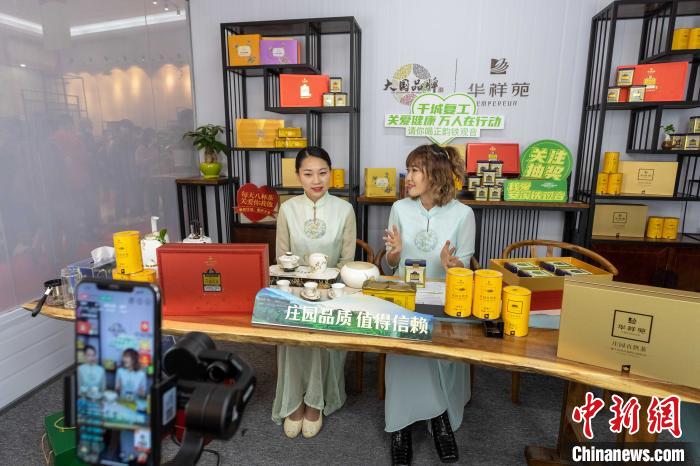 县长直播带货 “铁观音之乡”刺激产业复苏