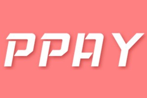 “ppay”平台网络发展时代的台柱子